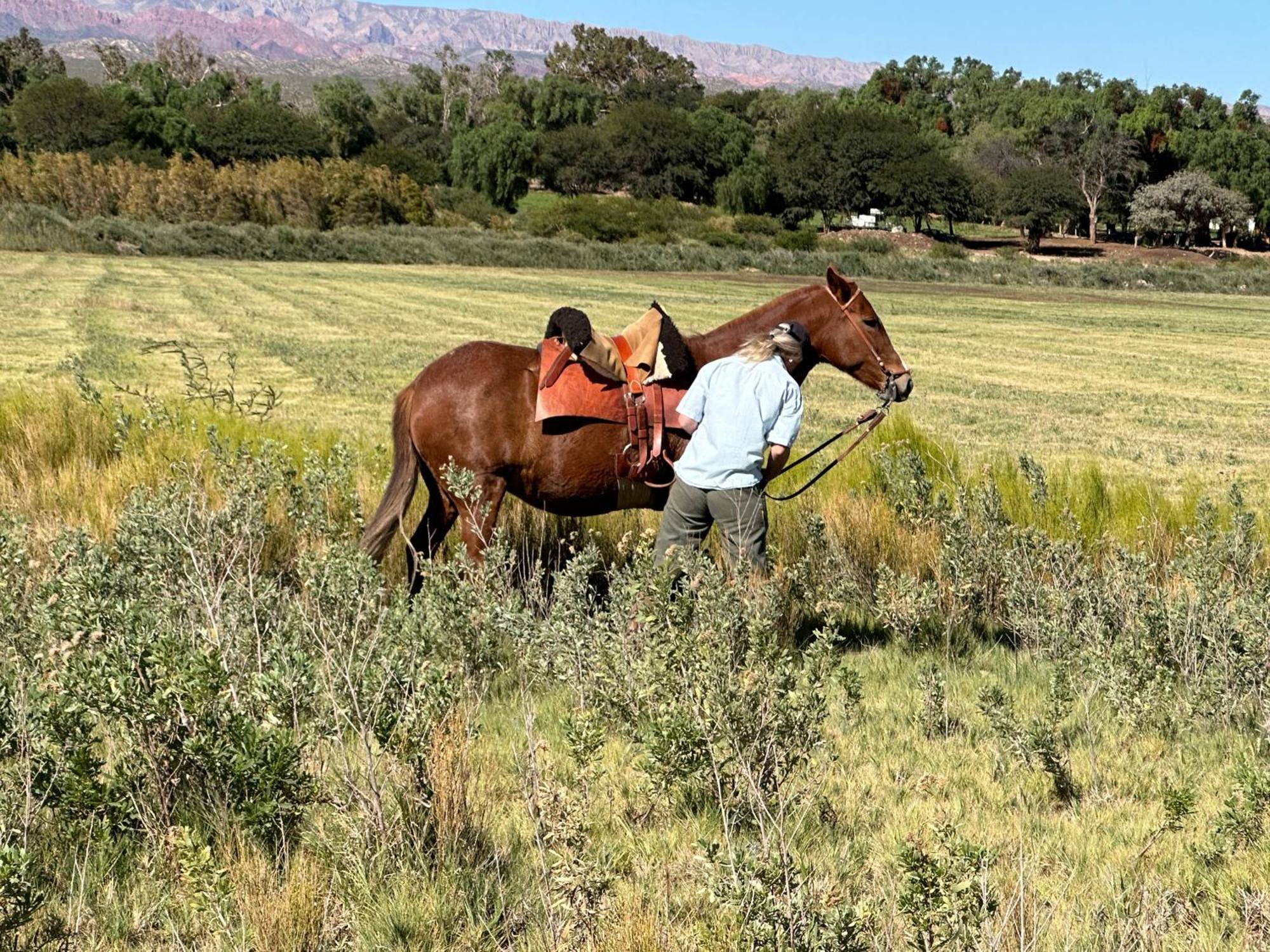 Estancia Banda Grande - Horse & Hiking Safaris Molinos Extérieur photo