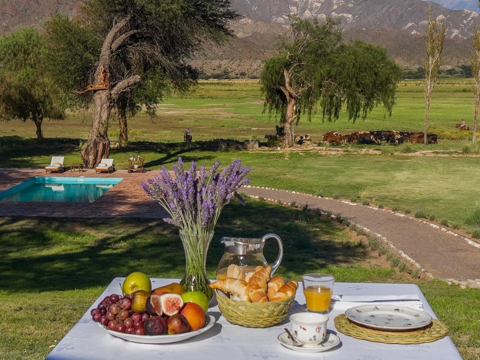 Estancia Banda Grande - Horse & Hiking Safaris Molinos Extérieur photo